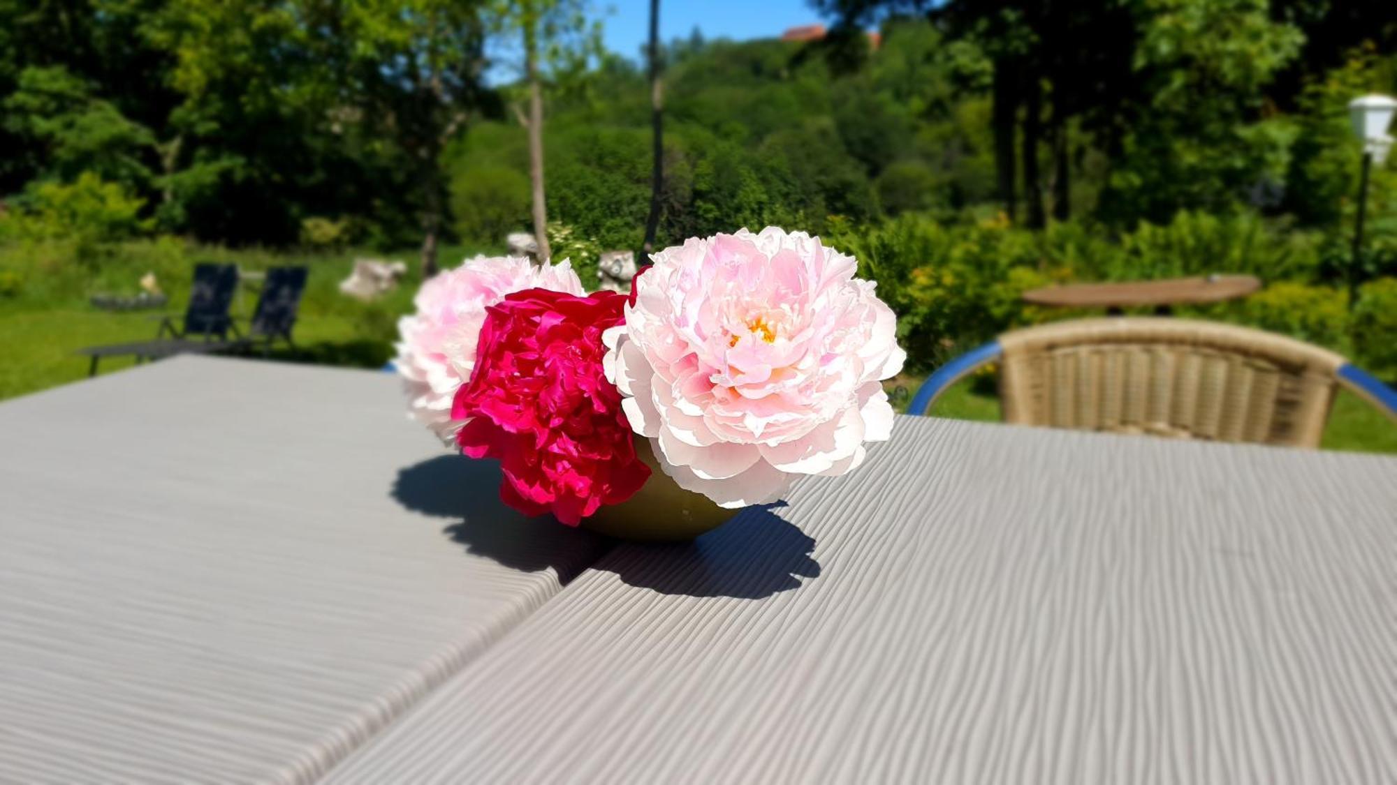Hotel Schneiderhof Braunlage Εξωτερικό φωτογραφία