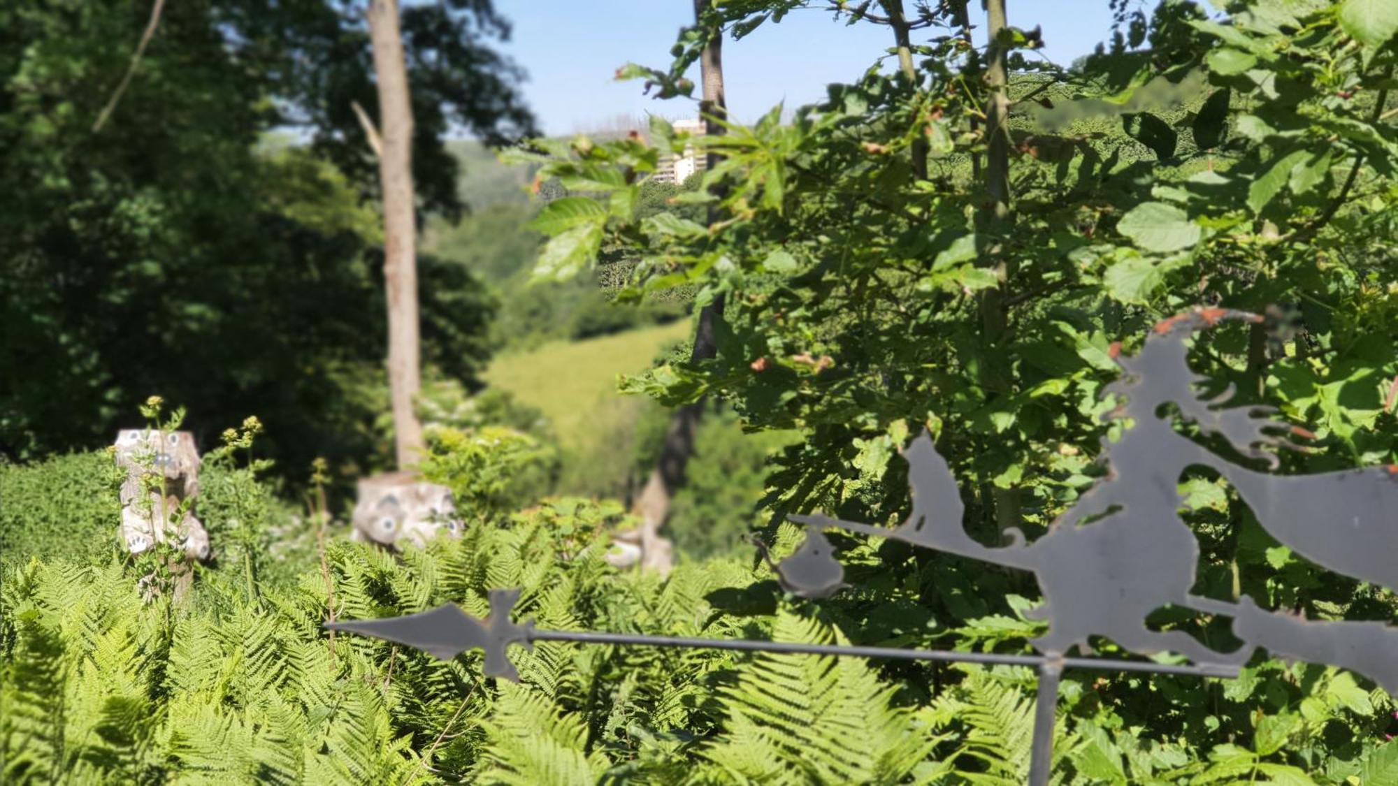 Hotel Schneiderhof Braunlage Εξωτερικό φωτογραφία