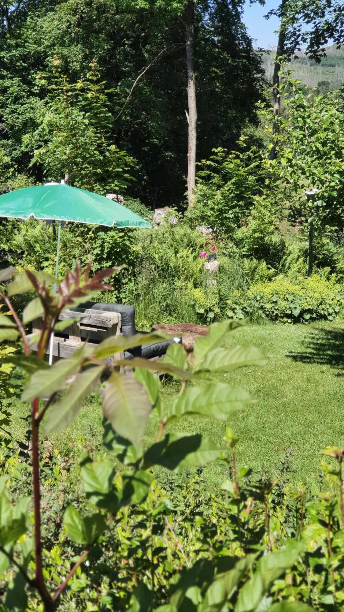 Hotel Schneiderhof Braunlage Εξωτερικό φωτογραφία