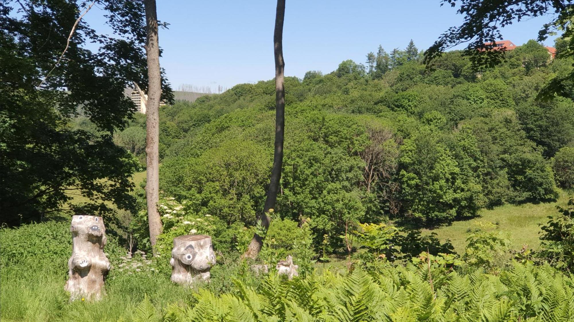 Hotel Schneiderhof Braunlage Εξωτερικό φωτογραφία