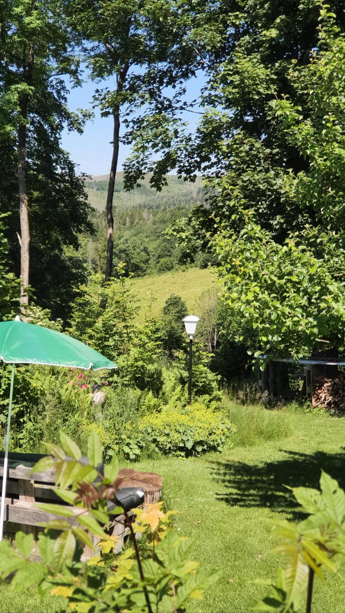 Hotel Schneiderhof Braunlage Εξωτερικό φωτογραφία